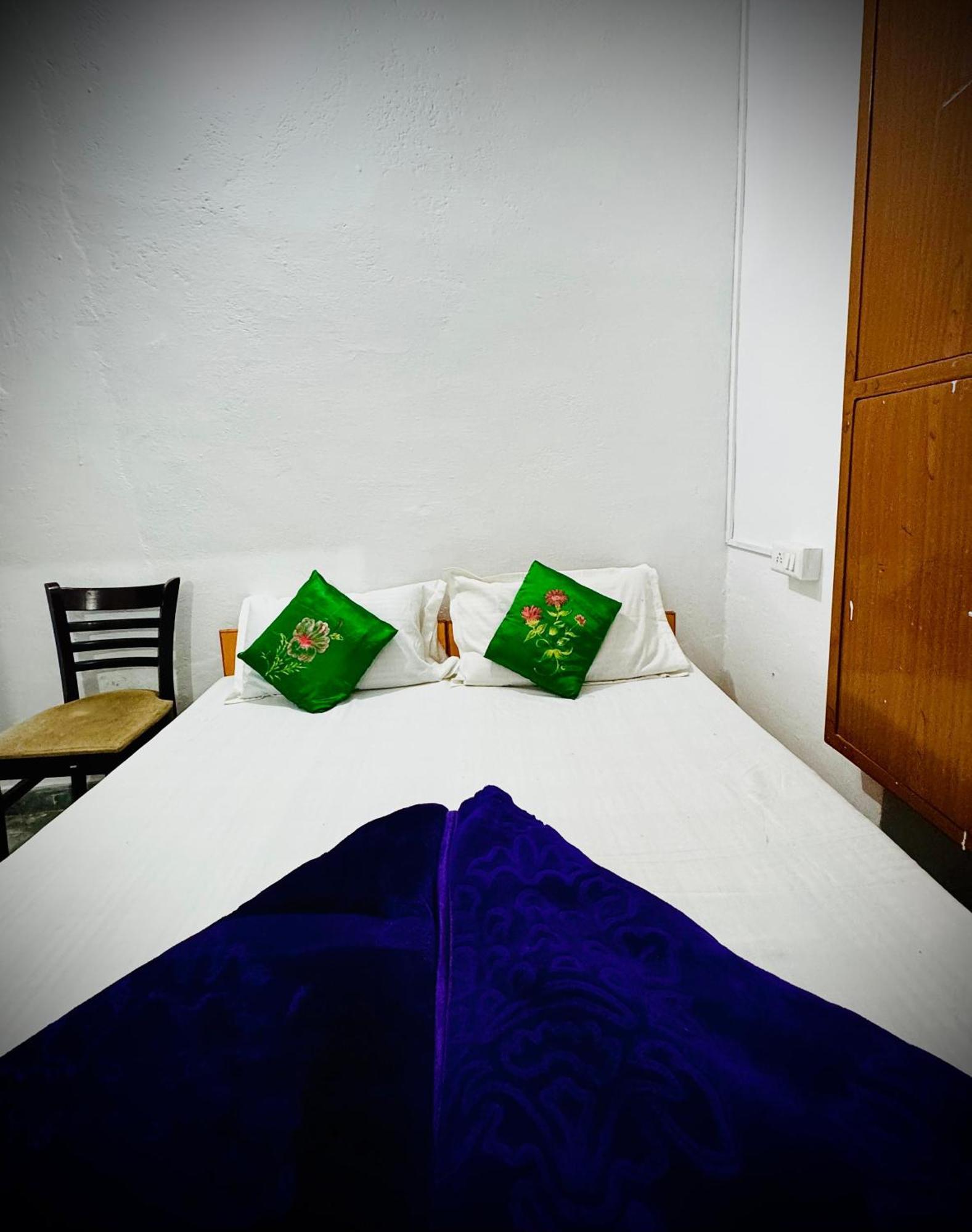 Mohan Villa Guest House Udaipur Ngoại thất bức ảnh