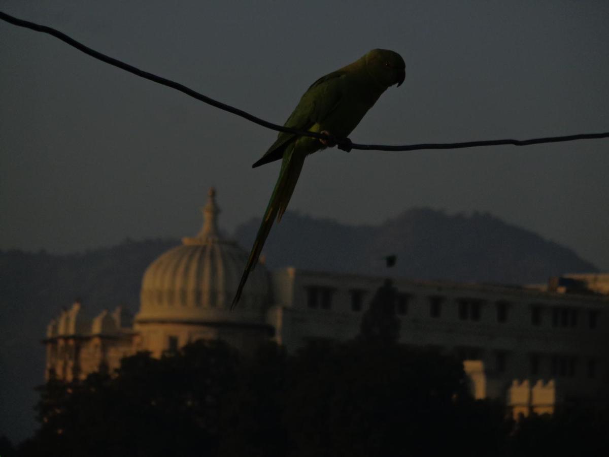 Mohan Villa Guest House Udaipur Ngoại thất bức ảnh